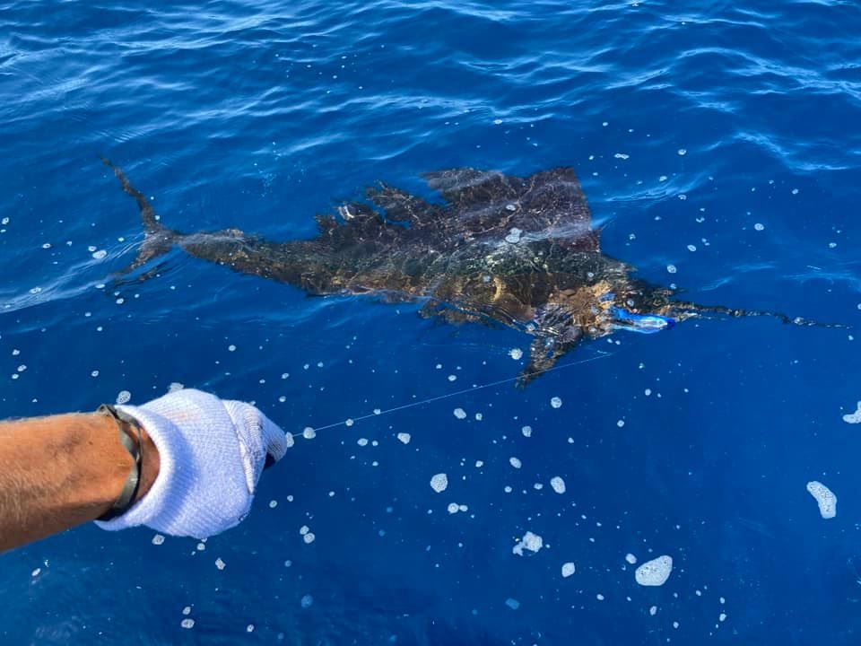 Why Summer Is The Best Time For Fishing Charters